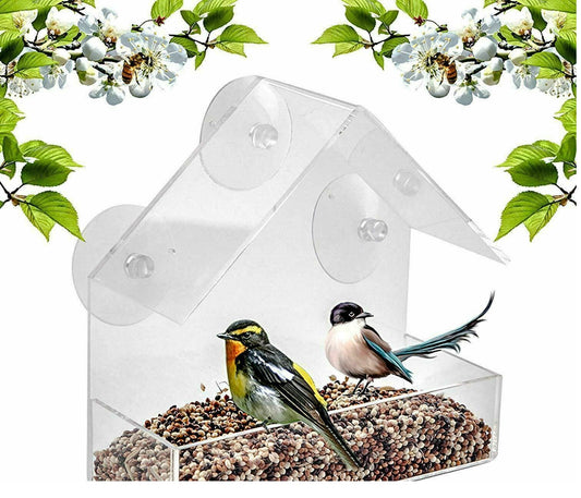 Window Bird Feeder Clear Plastic Hanging Seed Peanut Fastball - DIVCHI